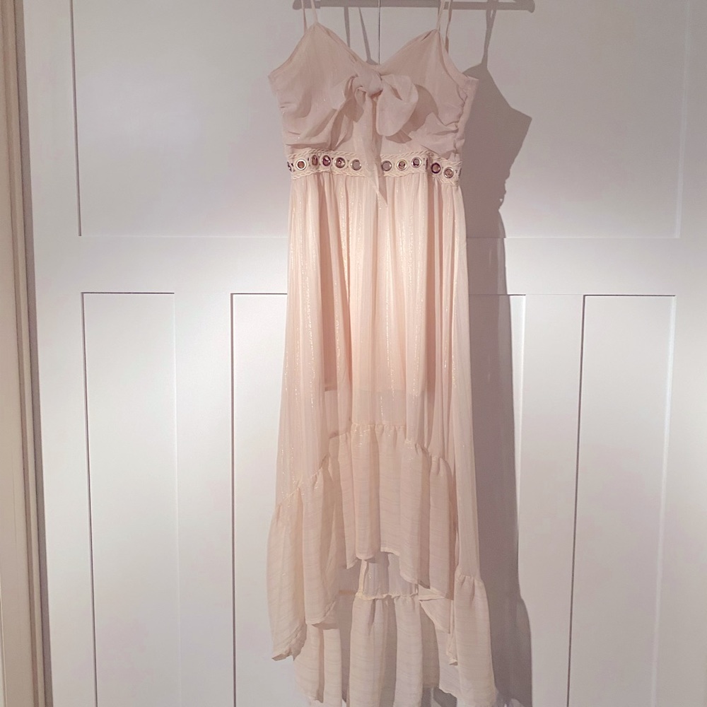 Sheer maxi dress- never worn
